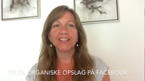 Videoguide til links i prosuktbilleder
