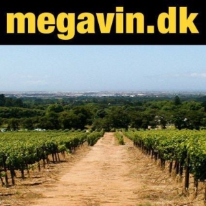 Megavin logo