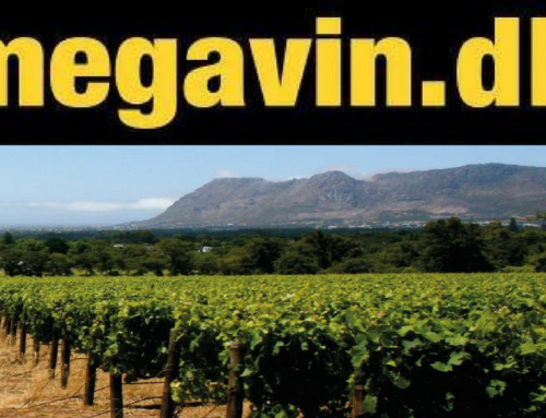 Facebook strategi, marketing og meget mere til Megavin