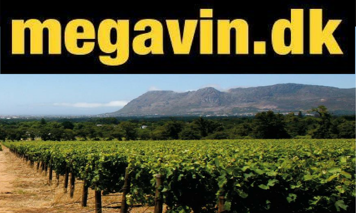 Megavin logo med vinmark