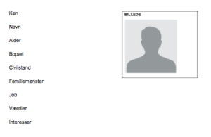 skabelon til udarbejdelse af persona