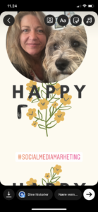 tips til Instagram stories med gif og billede