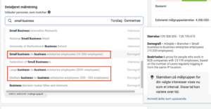 B2b annonce målretninger på Facebook