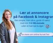 Online kursus i Meta annoncering. Lær at annoncere på Facebook og Instagram uden et stort budget